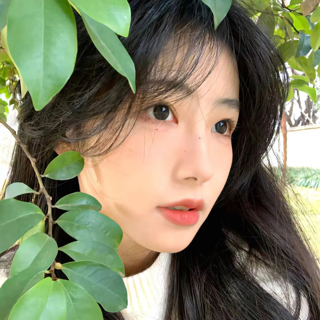 狐妖小红娘镜花缘篇